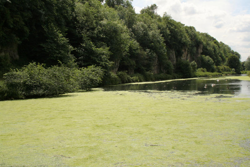 View over lake showing one side of the gorge.