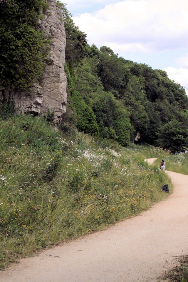 Image of one side of the gorge showing the flowery banks below and the bare rock above.
